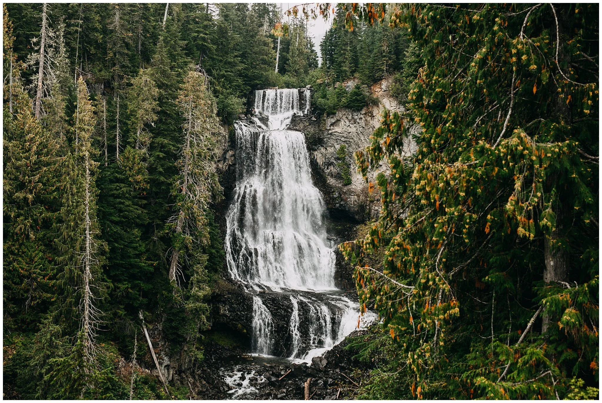 alexander falls whistler elopement