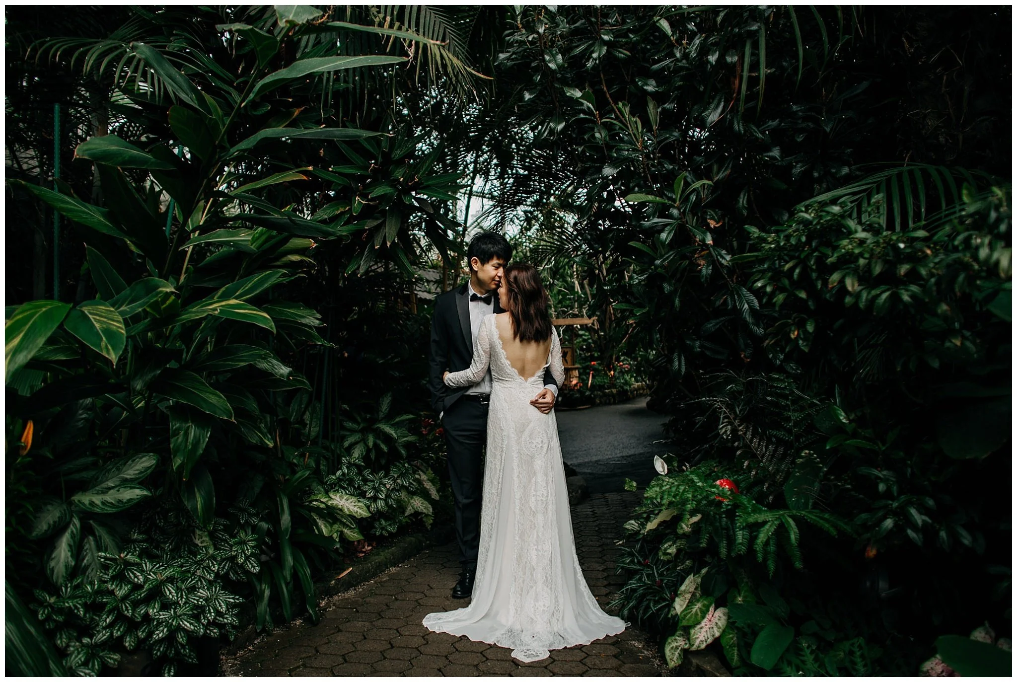 bride and groom engagement photos at bloedel conservatory