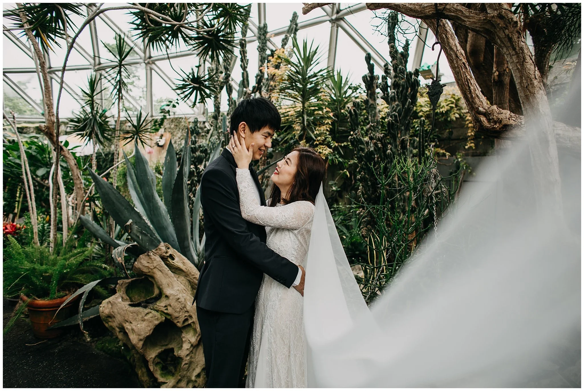 bride and groom veil portrait at bloedel conservatory vancouver