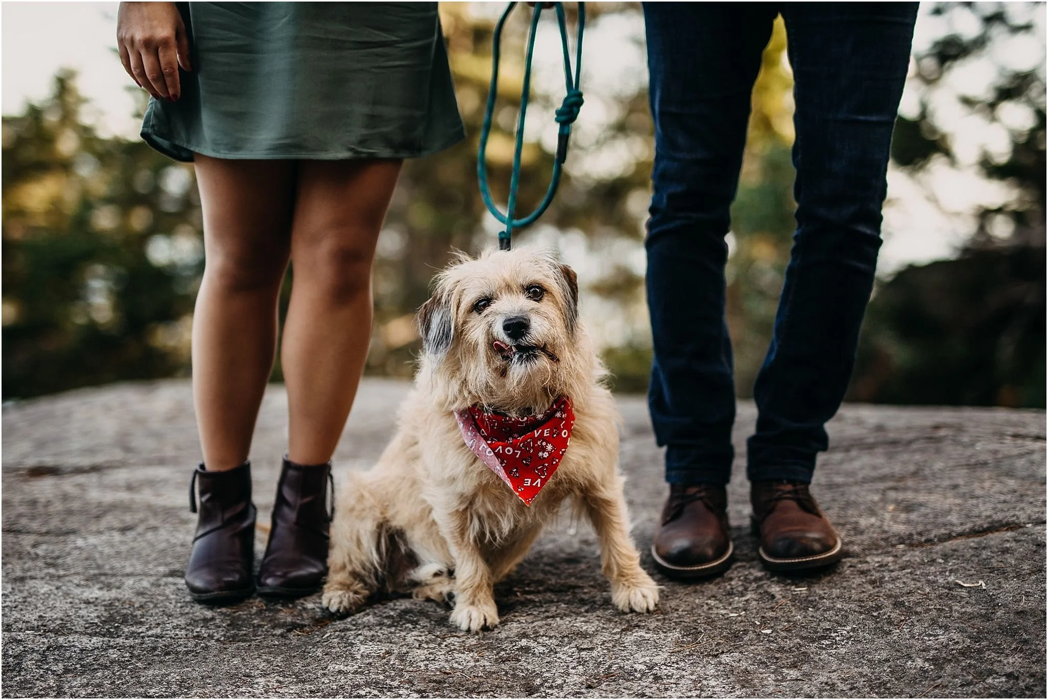 puppy bandana sitting between couple