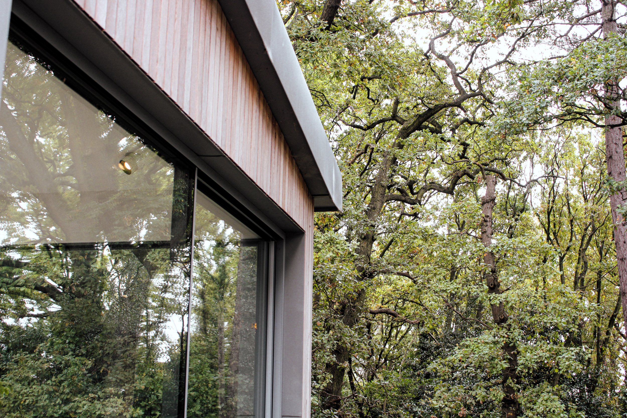 MountainAsh-038.jpg