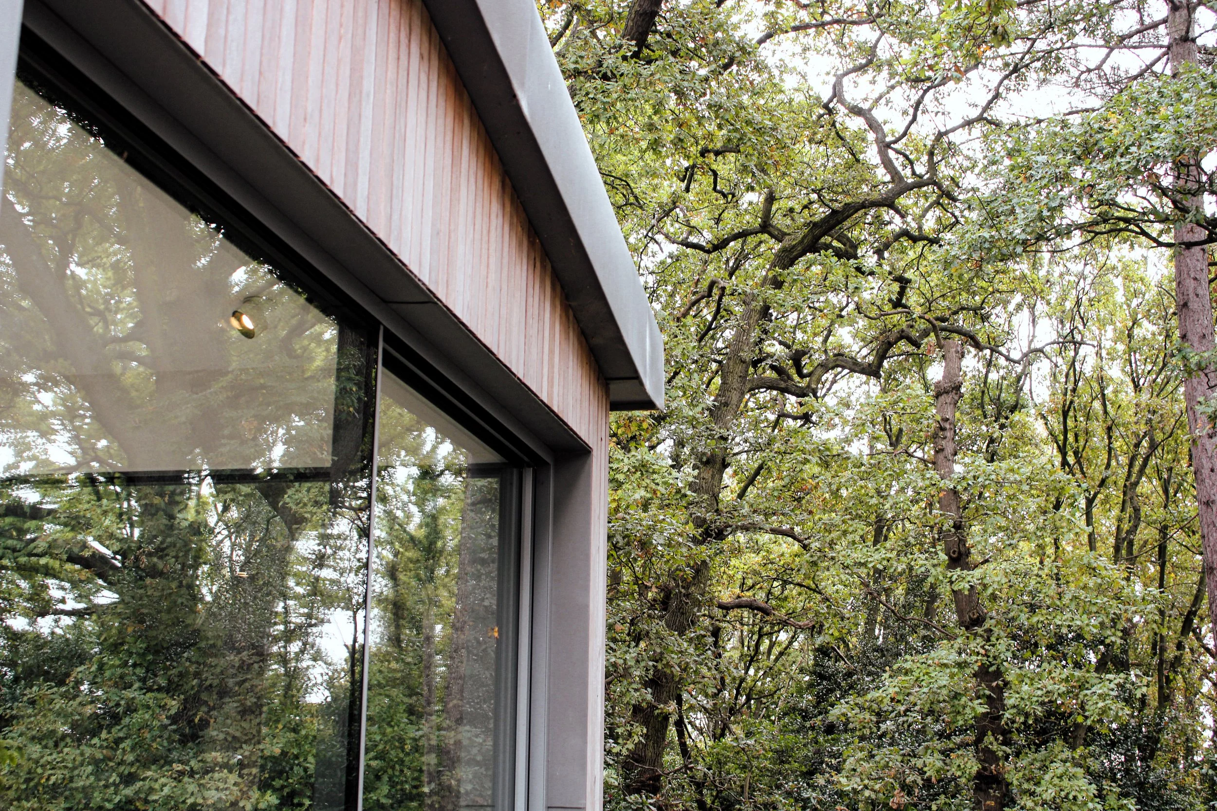 MountainAsh-038.jpg
