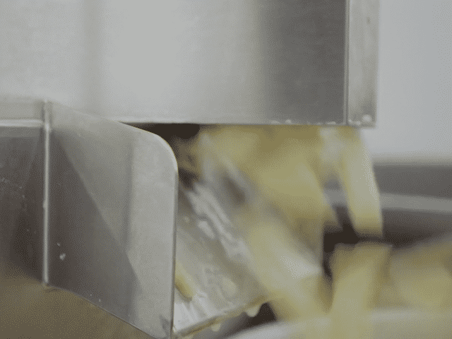 ROMA_ A FILM ABOUT CHIPS & WONDER (2024)-high.gif