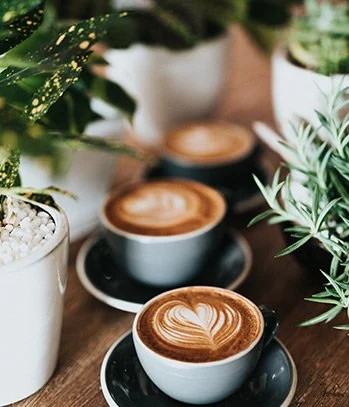 Arrival &amp; Coffee