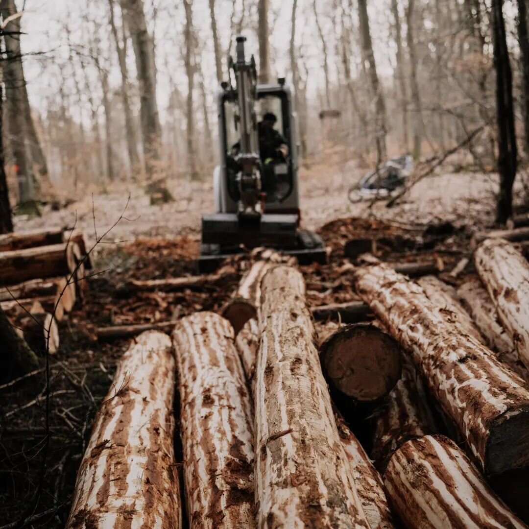 we like working in the woods.......

picrures @fabiulous_pics 

#woodworking 
#woodworker 
#woodwork 
#forestry 
#forst 
#forstwirtschaft 
#forstwirt