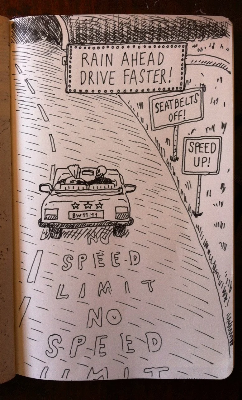 22.driving.jpg
