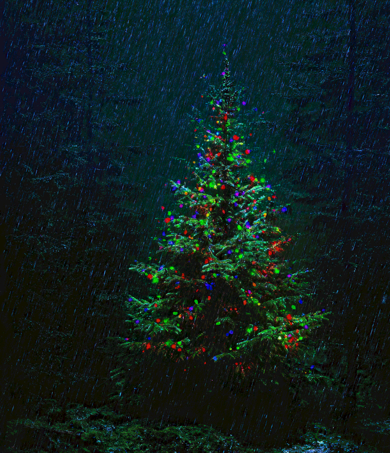 QuantumSpirit - Lignum Memoriae