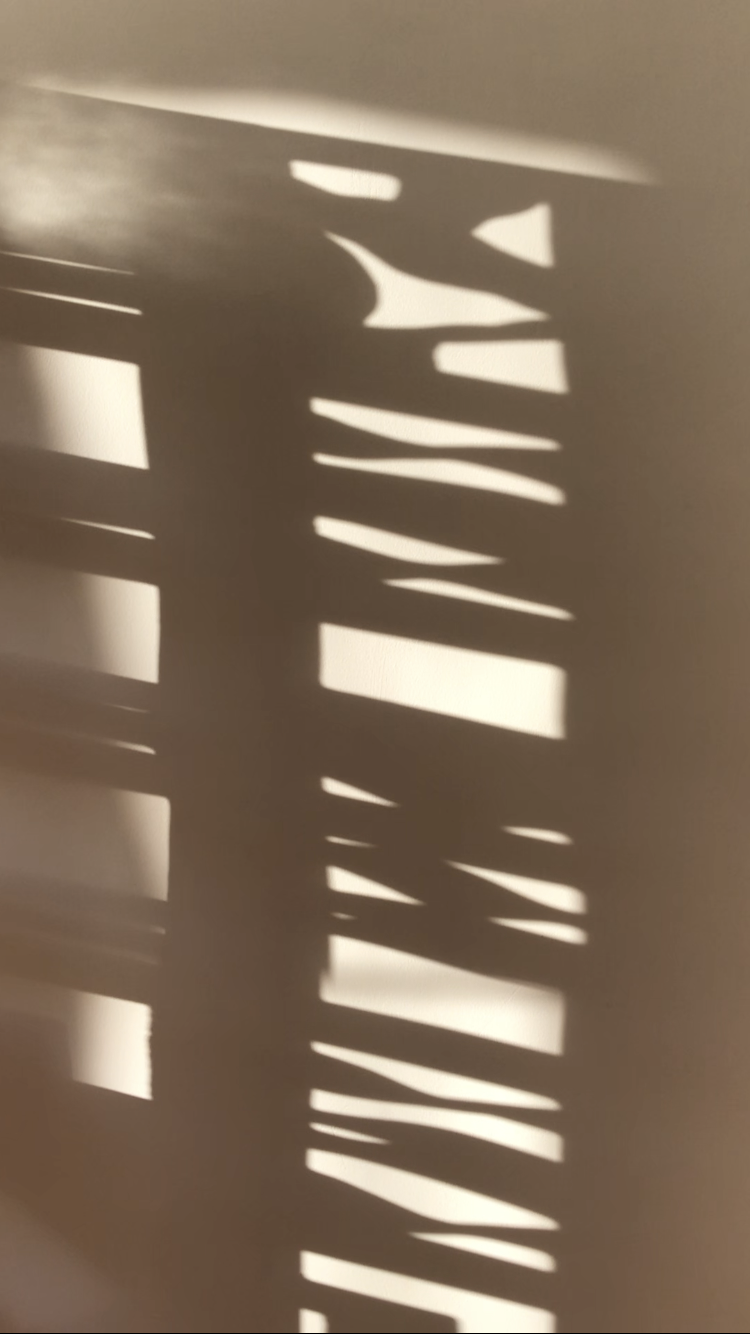 IMG_3082.PNG