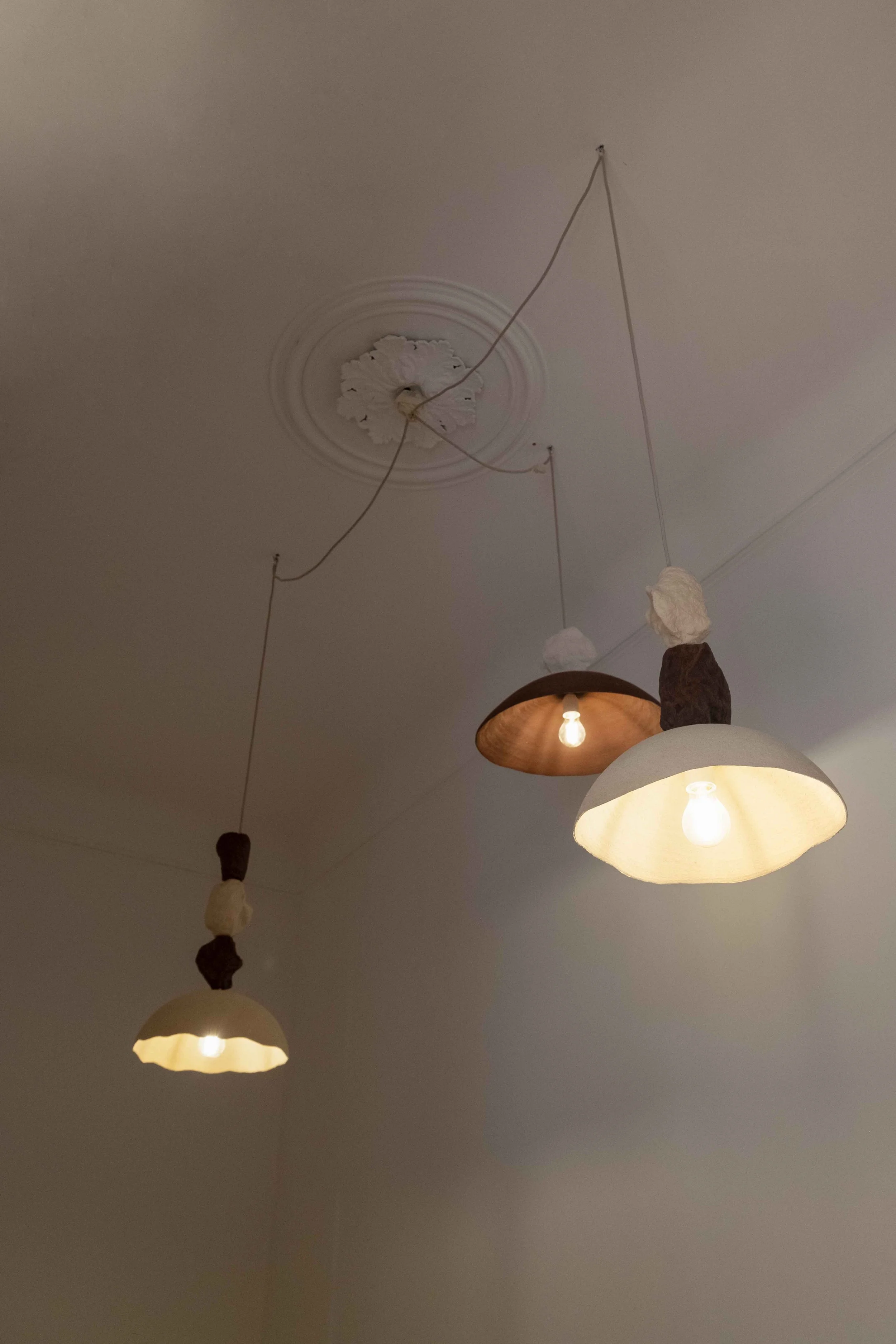 DSCF4445.jpg