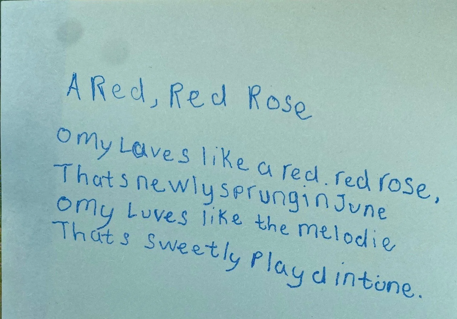 A red red rose…… 