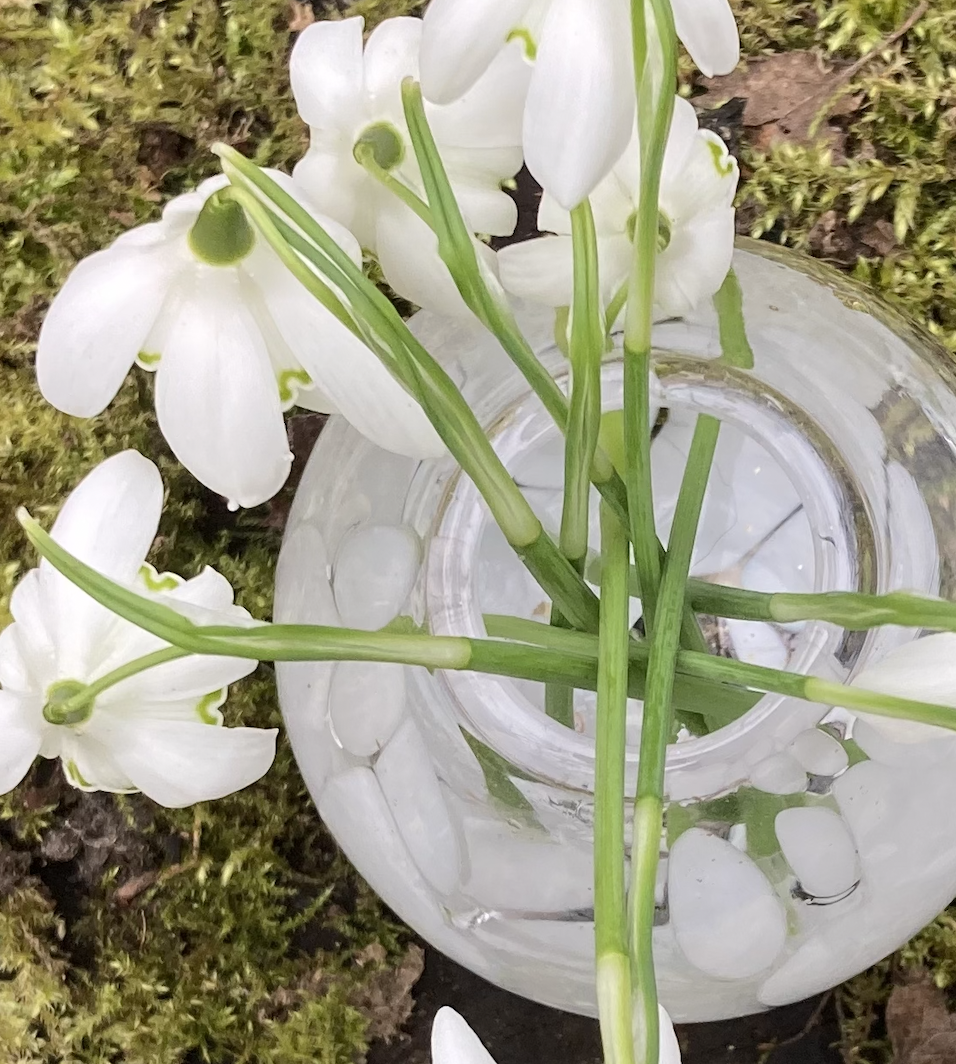 LOUISARAVENGLASS_BudVase_Snowdrop_1.JPG