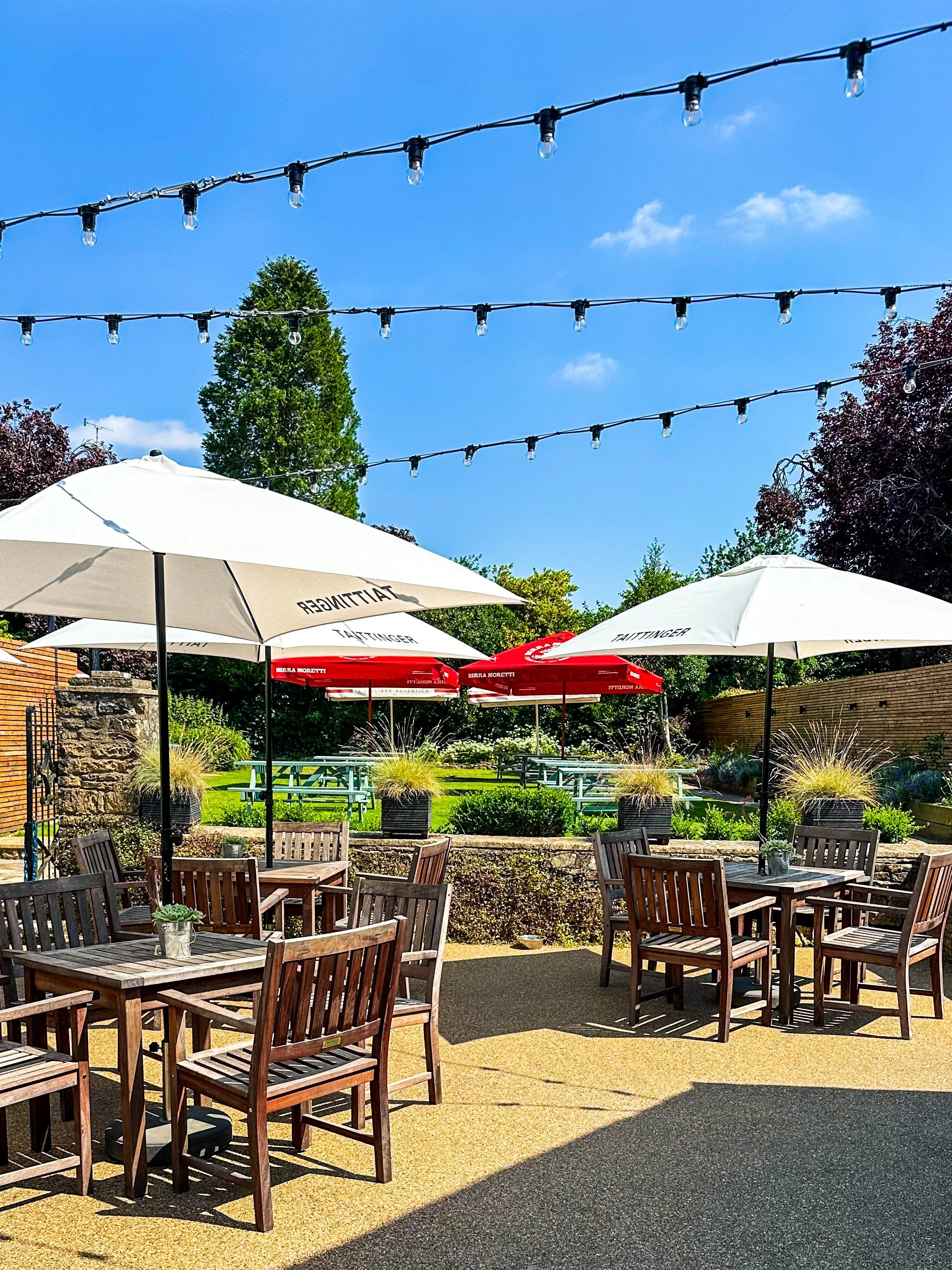 Summer Beer Garden.JPG