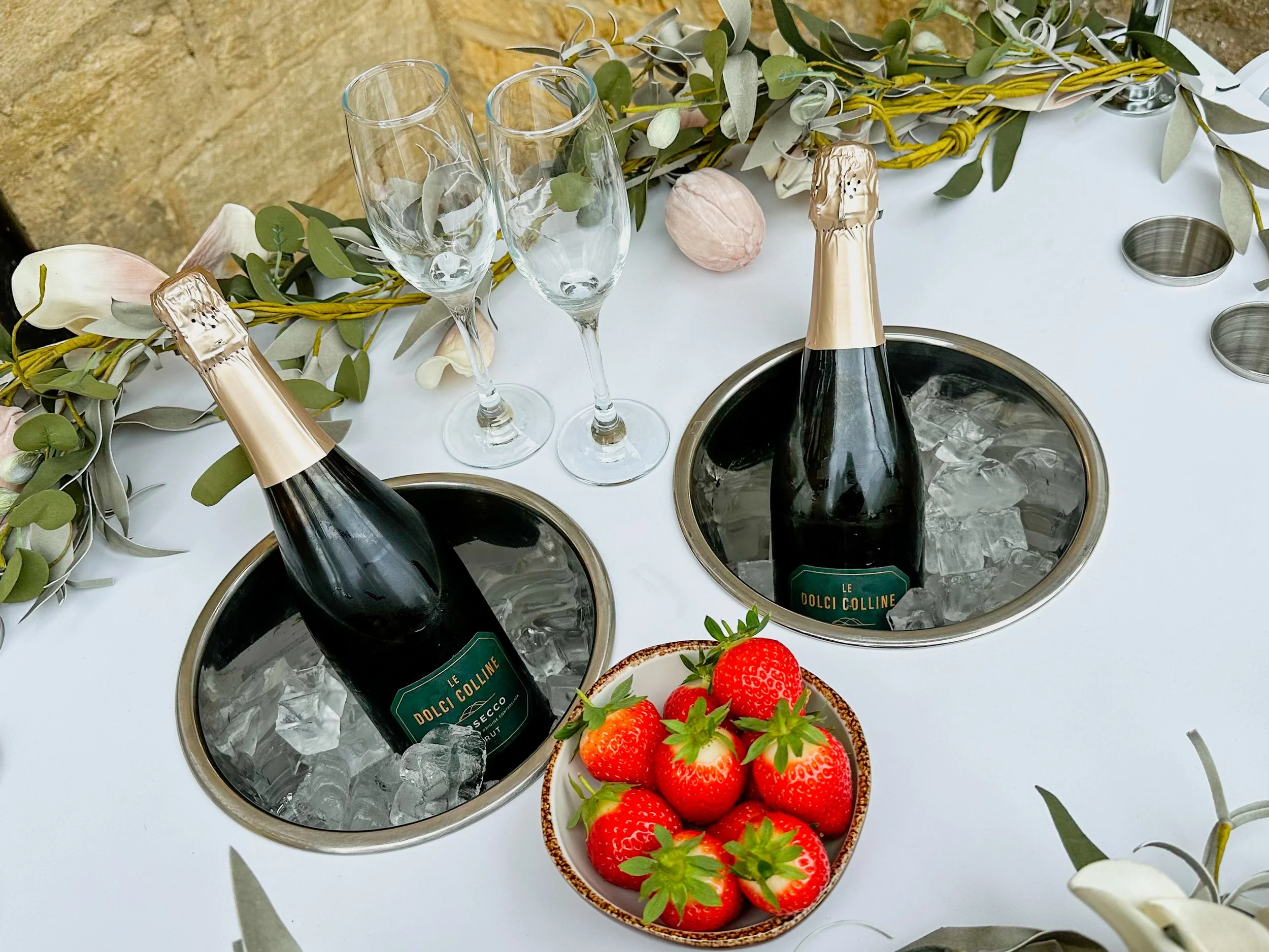 Fizz and strawberries 2.JPG