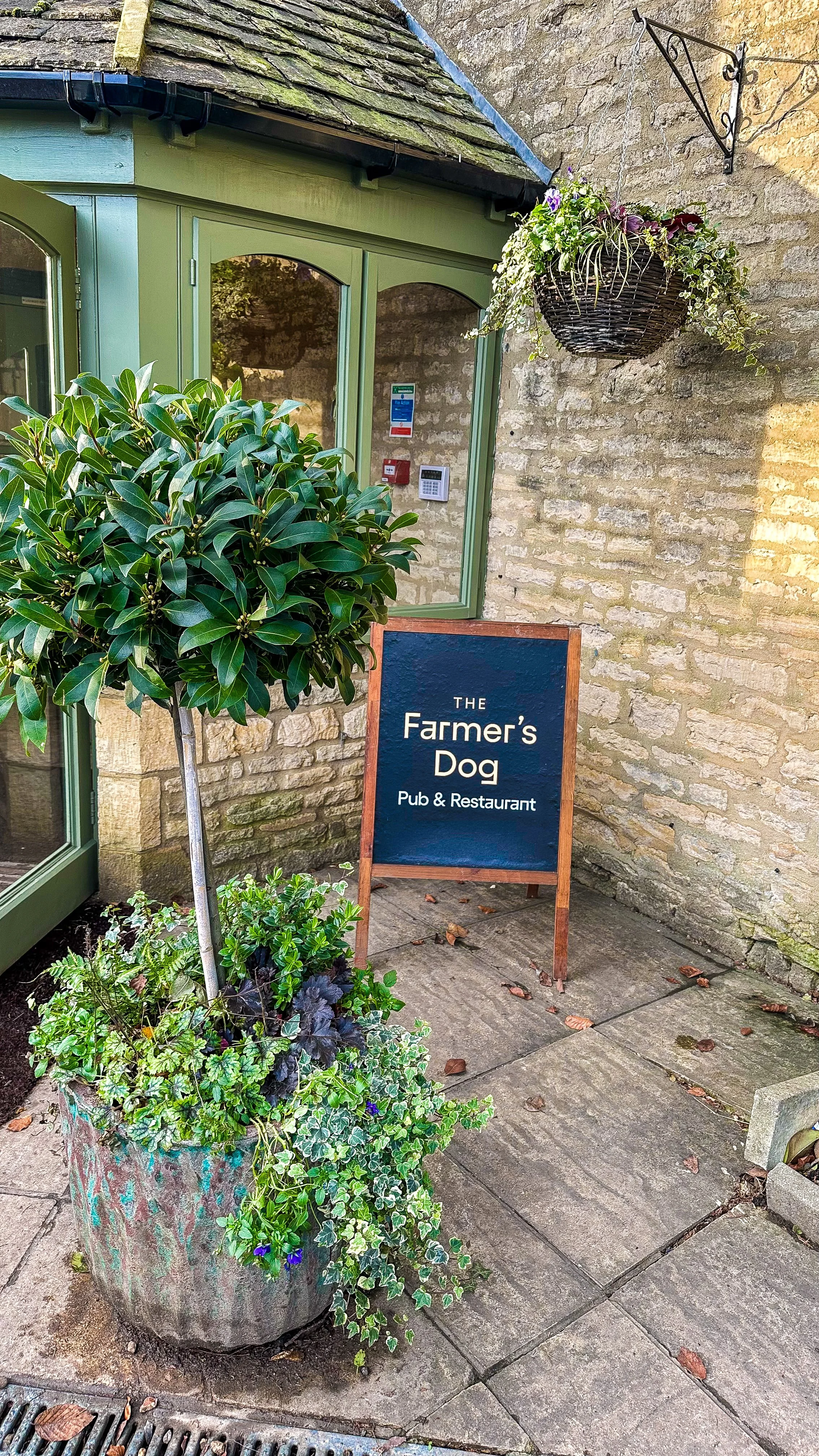 Farmers Dog Blog 1.JPG