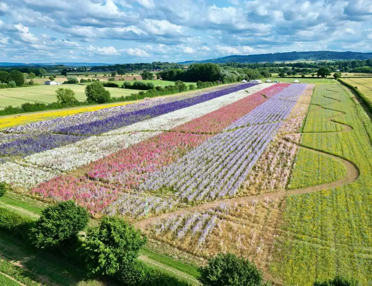June events You Won't Want to Miss this year