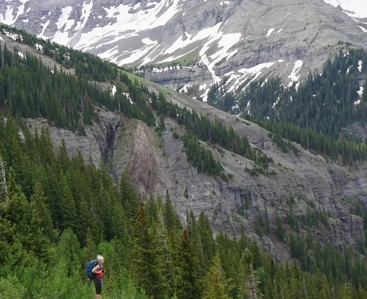 A hiker with a backpack stands among green pine trees with snowy mountains rising in the background.