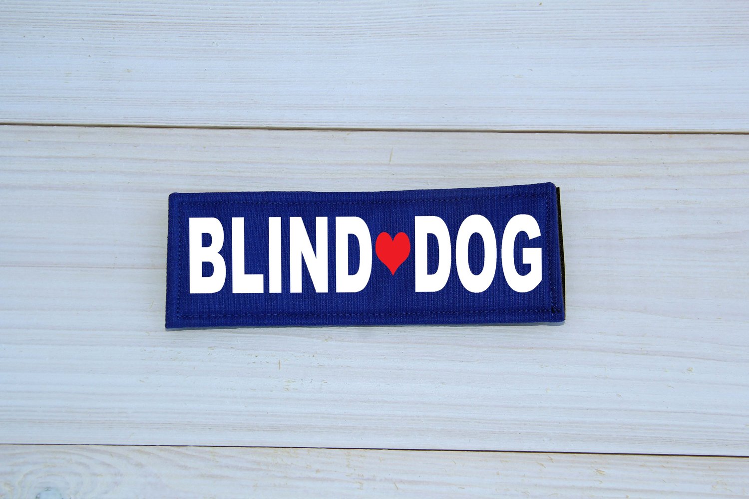 Blind Dog Patch — Dog Days of Maxx