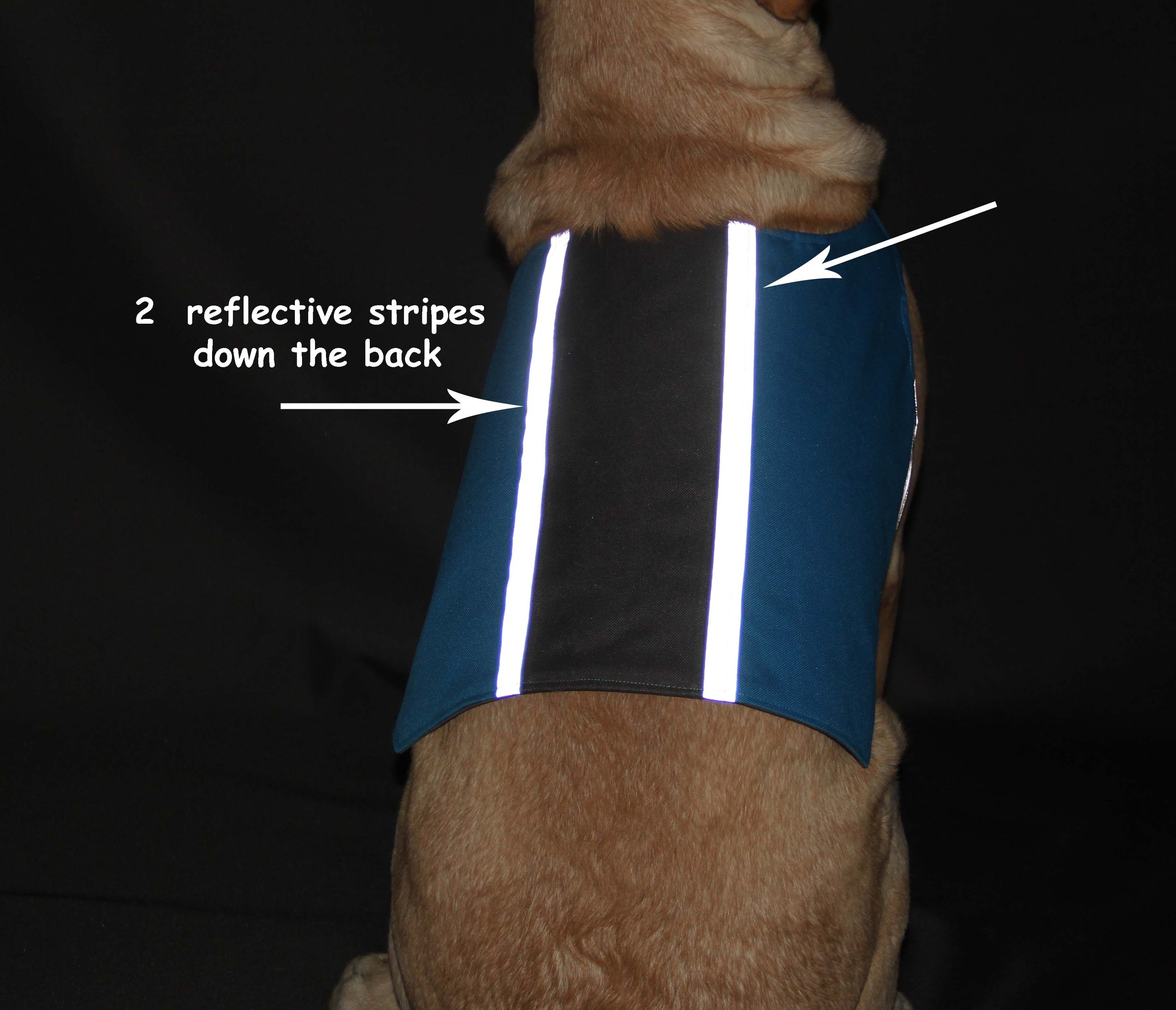 reflective example.jpg