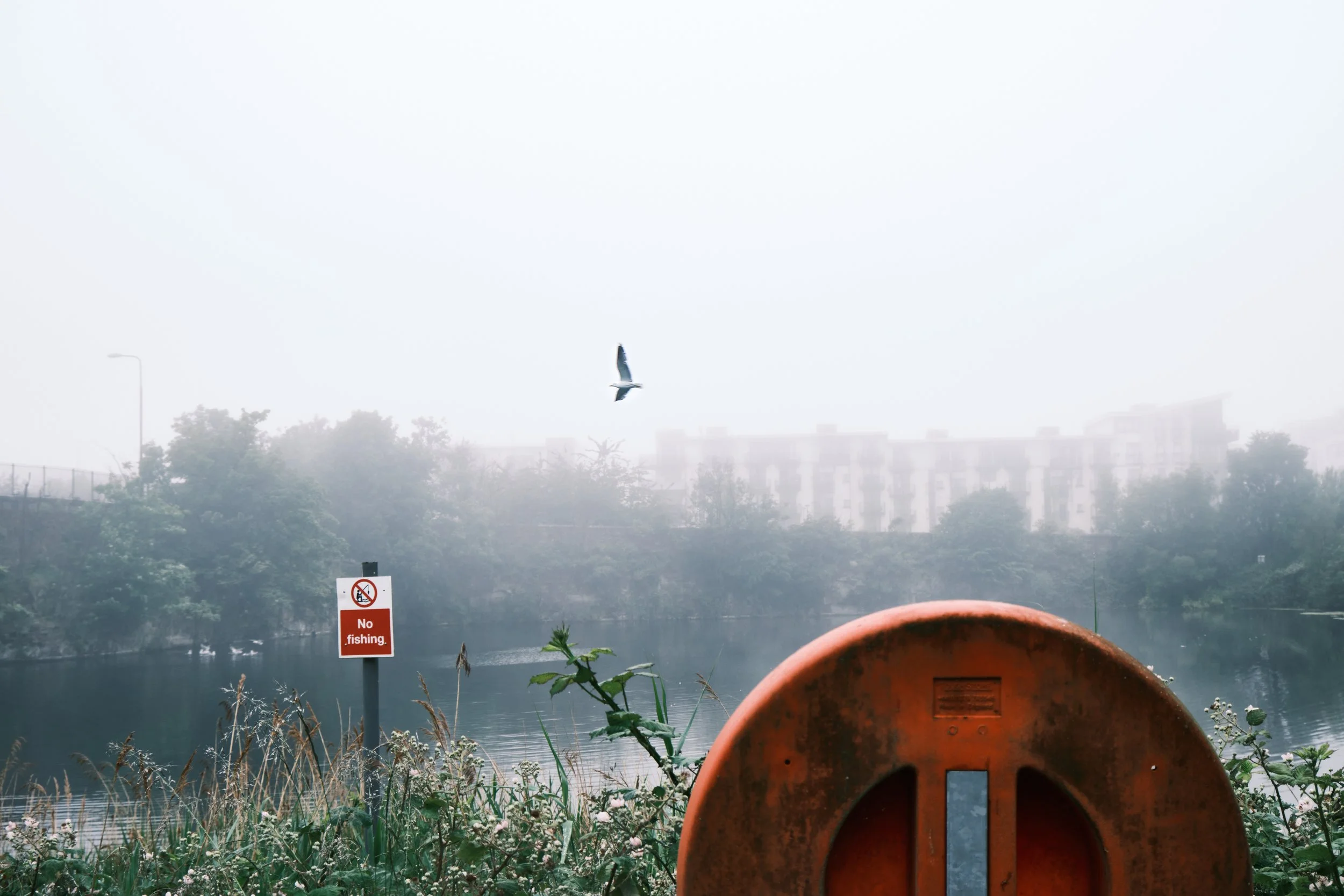 landscape.