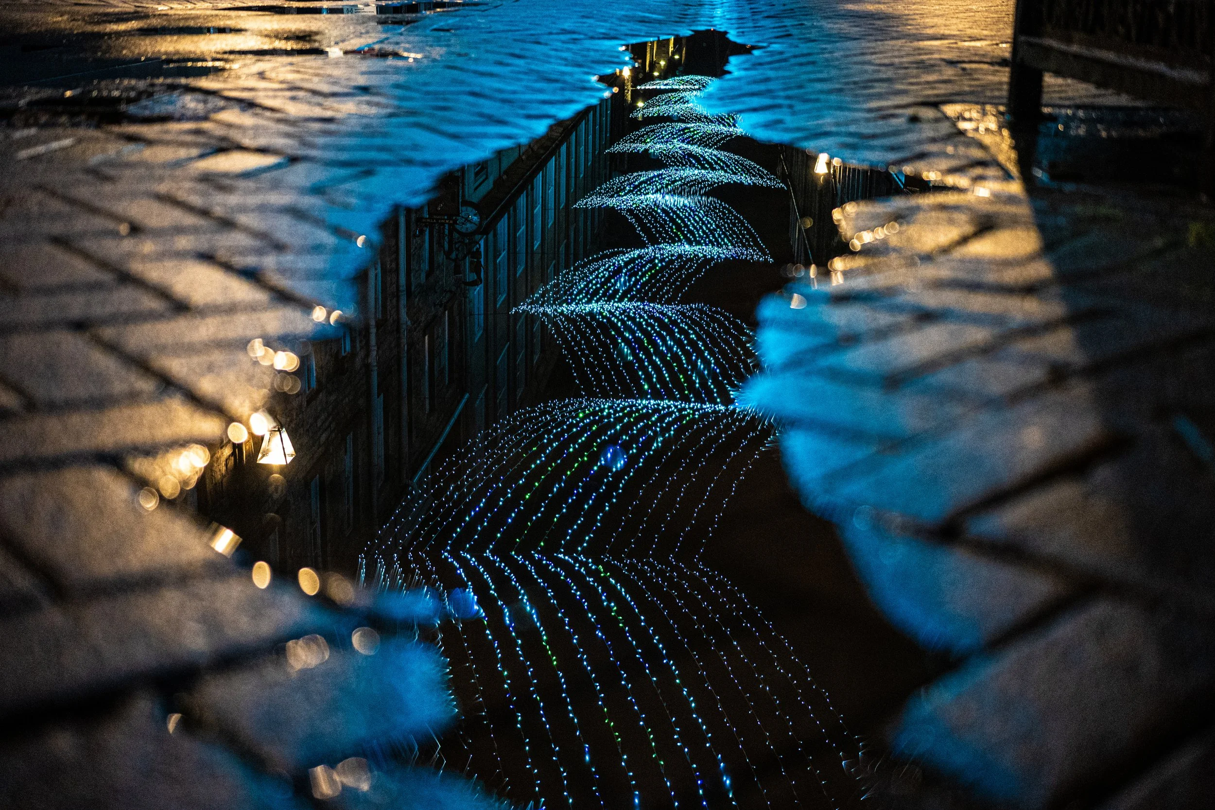 dancing-city-lights-for-web.jpg