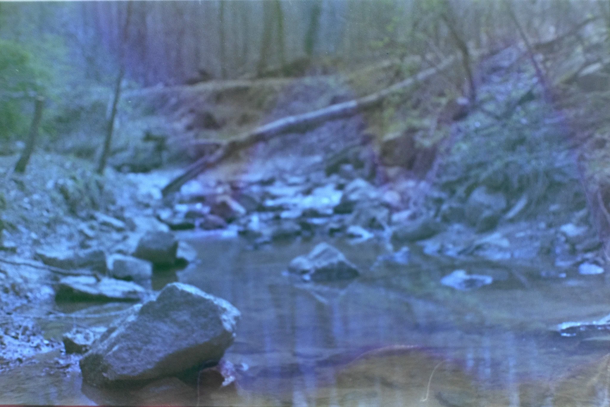 runoff.jpg