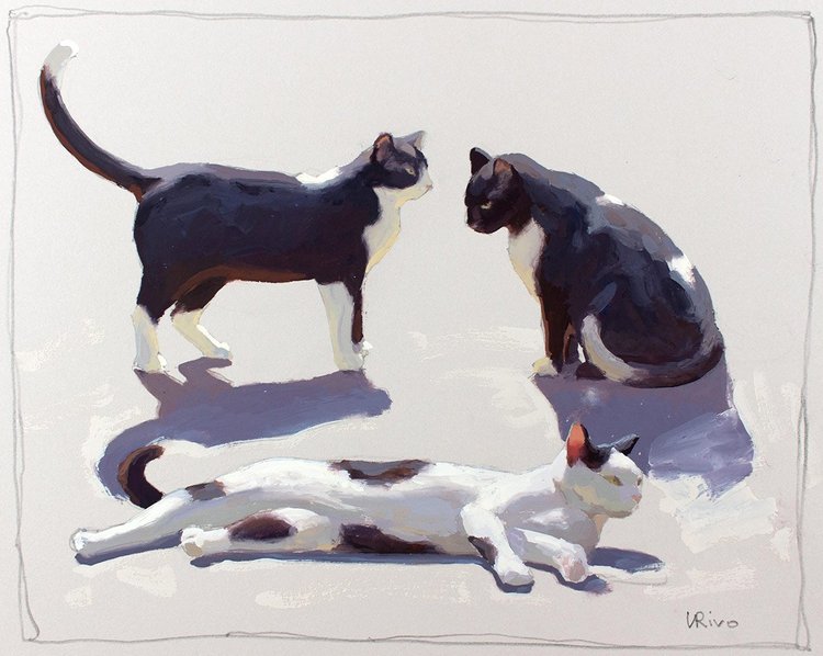 Cats in - Gouache — Lena