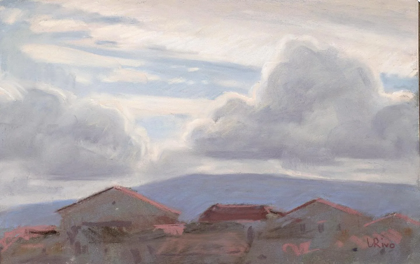 A soft pastel study I did from my studio window a couple months ago when I started painting with soft pastels. 6x9 in. Girault soft pastels on Canson Velvet paper. 

#pastelpainting #pastelart #softpastel #landscapepainting #pleinairpainting