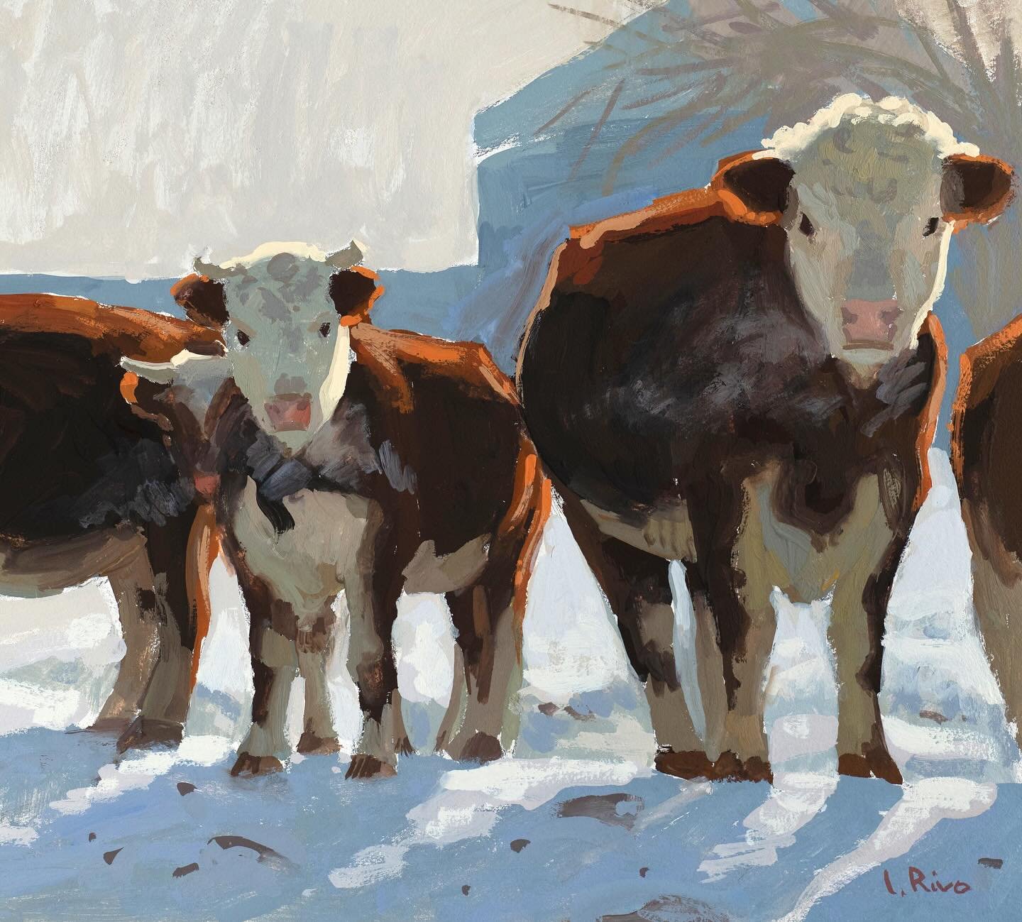 A quick gouache study of cows. 9x9 in. Gouache on Ampersand Aquabord. 

#gouache #sketch #illustration, #watercolor #allaprima #impressionism, #aquarelle #peinture #fineart #pleinairpainting #sketchbook #animaldrawings #animalportraits #animalpaintin