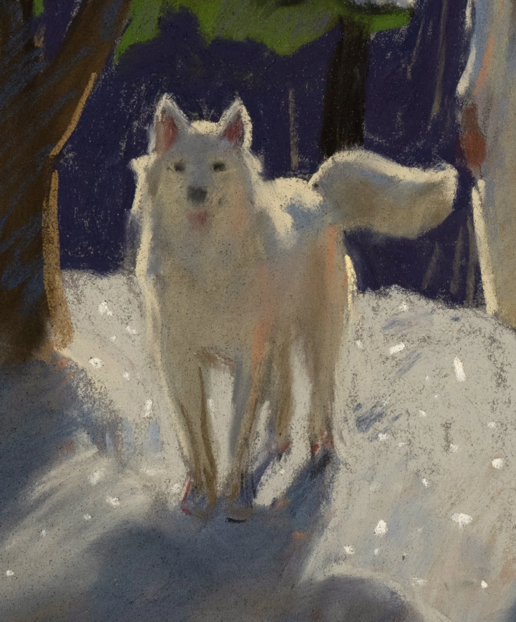 Moonlight Walk d02.jpg