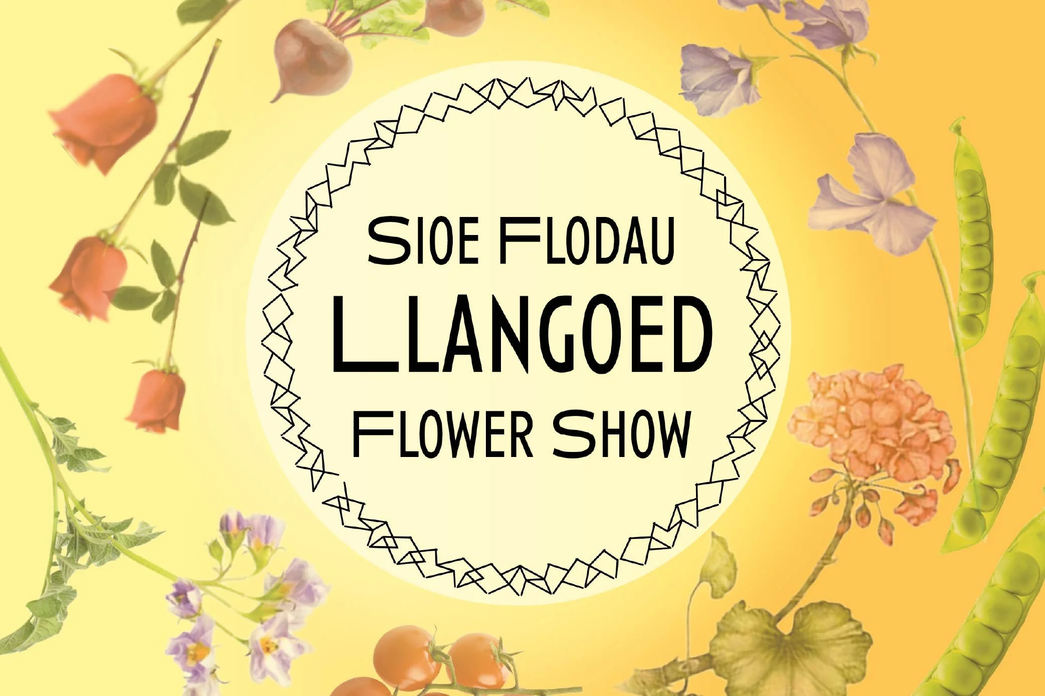 Llangoed Flower Show