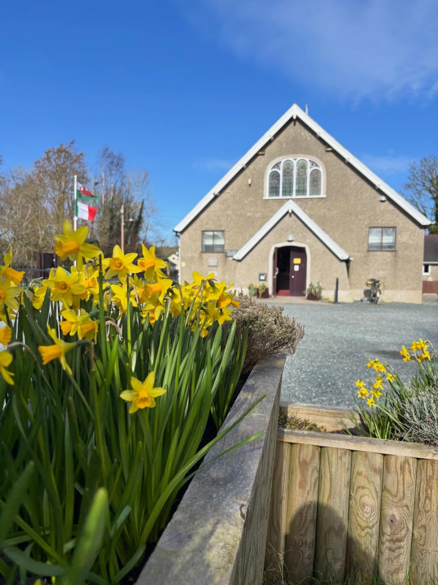 Arwyddion bywyd - ein gardd gymunedol ddechrau mis Mawrth! . . . Arwyddion o hanesyddol - ein gardd ar ddechrau mis Mawrth! . . . #llangoedvillagehall #communitygreenspace #llangoed #communitygarden #ynysmon