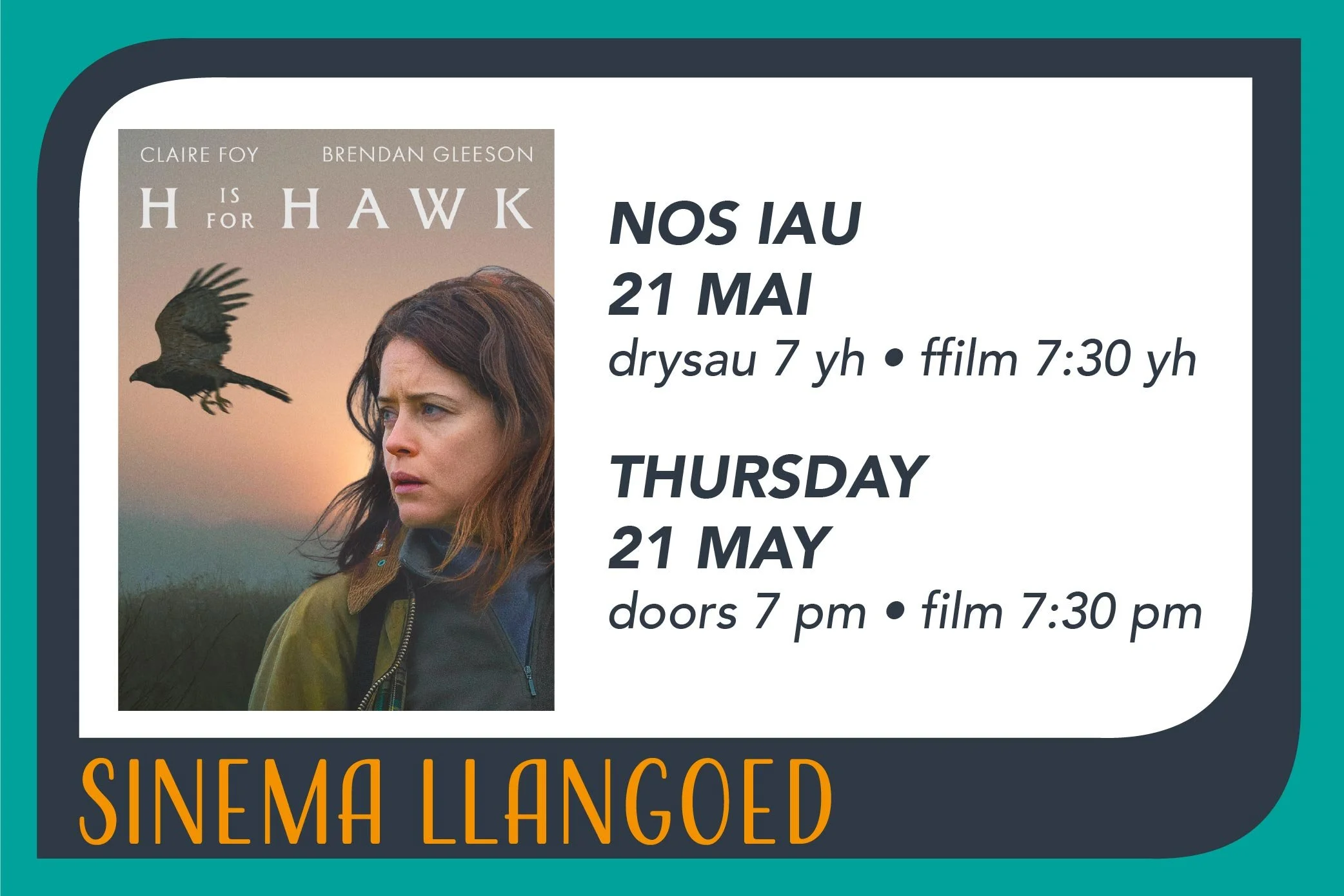 H is for Hawk at Sinema Llangoed