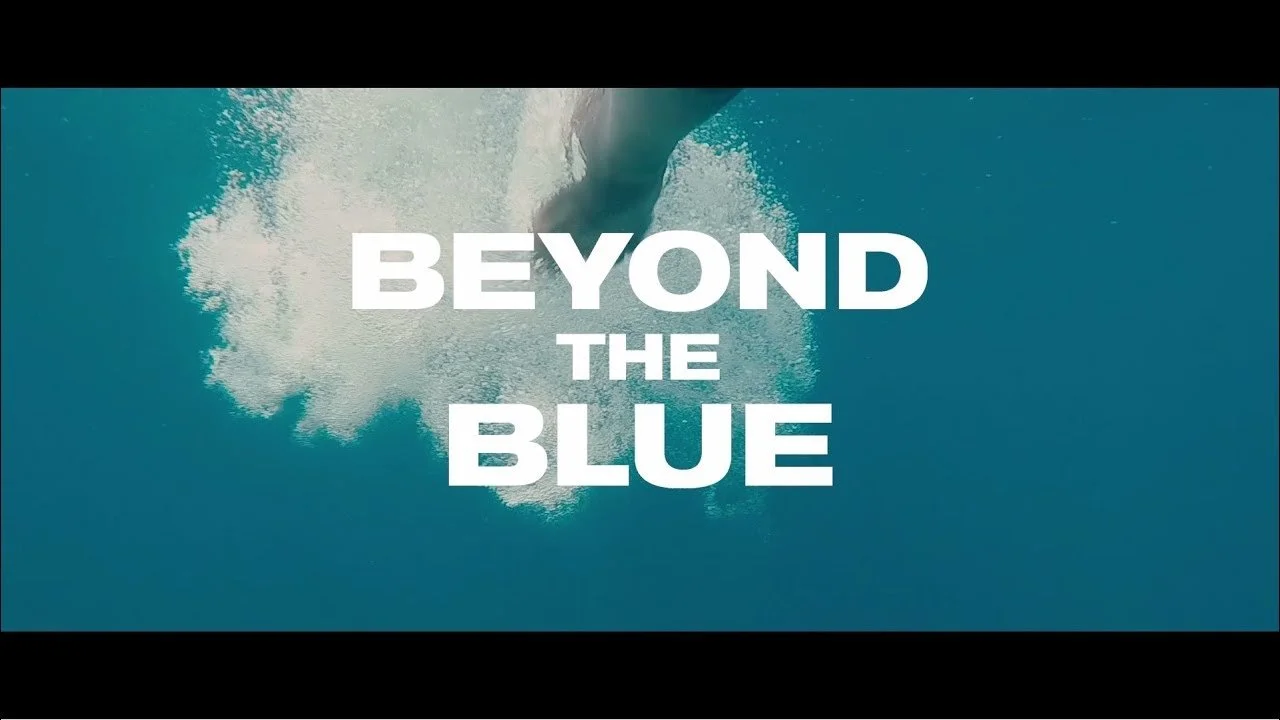 beyond the blue.jpg