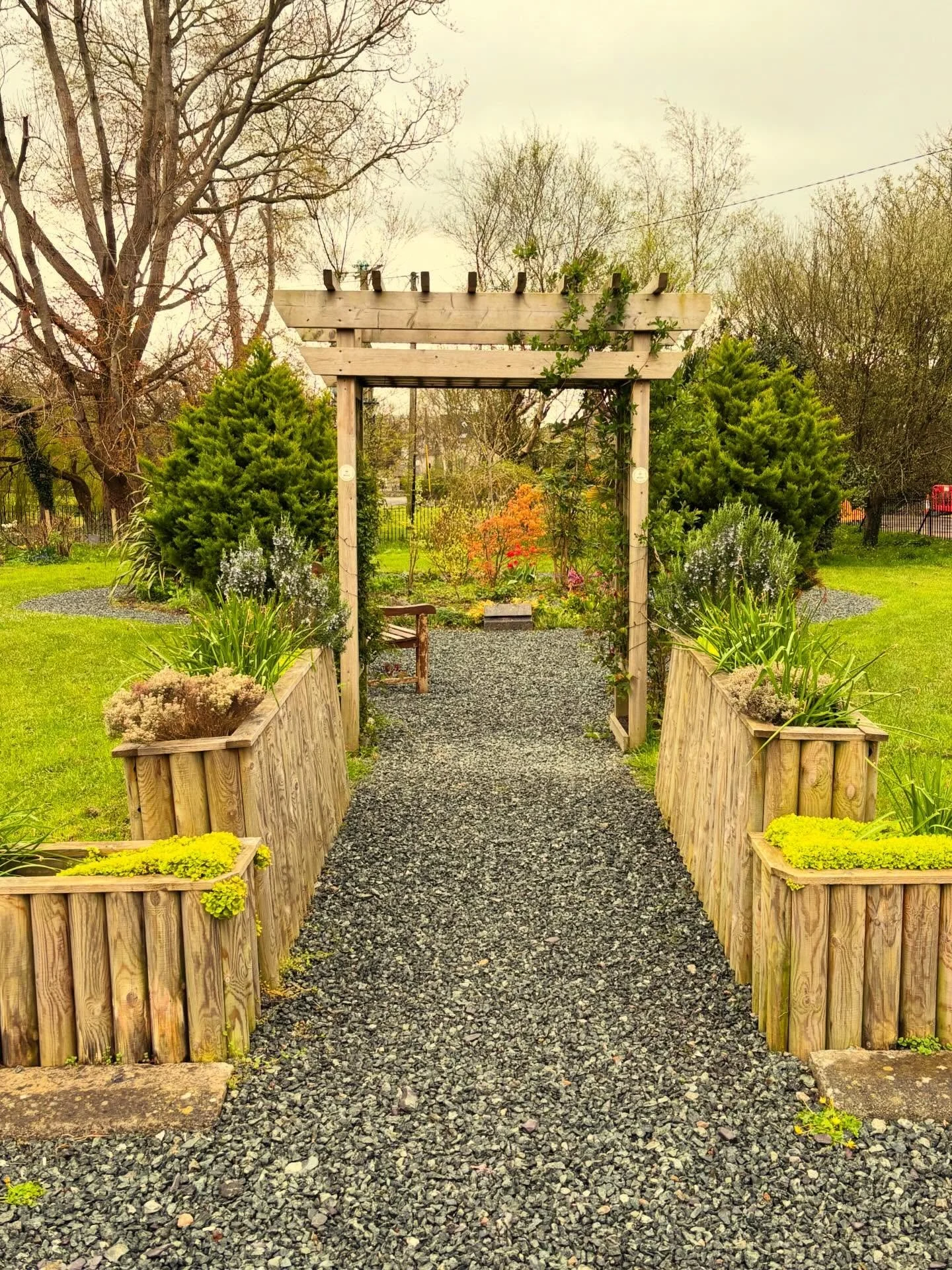 Our community garden in April-things are happening! 
. . .
Ein gardd gymunedol ym mis Ebrill - mae pethau&rsquo;n digwydd!