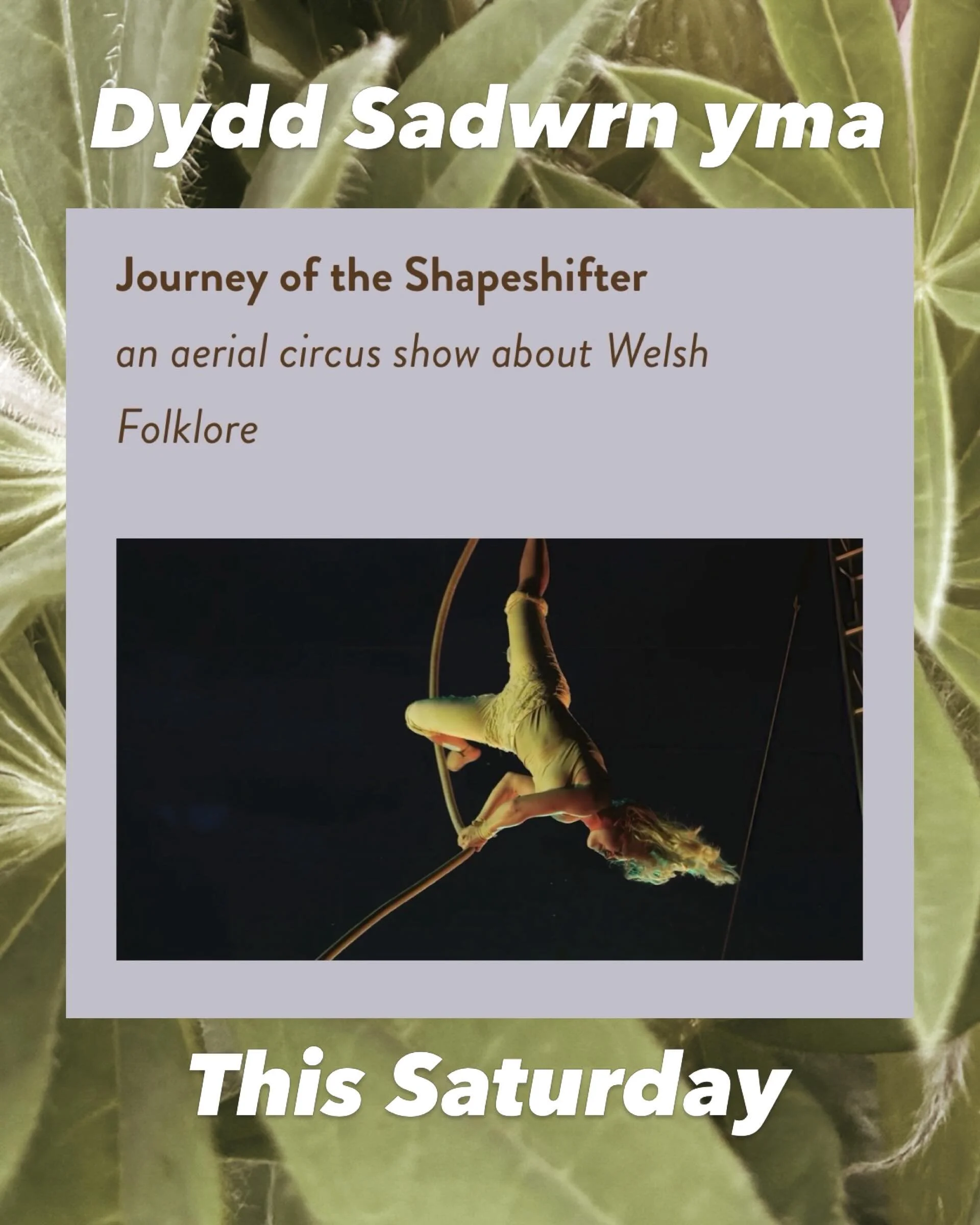 Contemporary Welsh circus meets characters from the Mabinogion with an incredible new show from Freya and friends coming to the Llangoed Village Hall. Also a circus workshop to try some circus skills! It will be a great day for all, do join us. All a