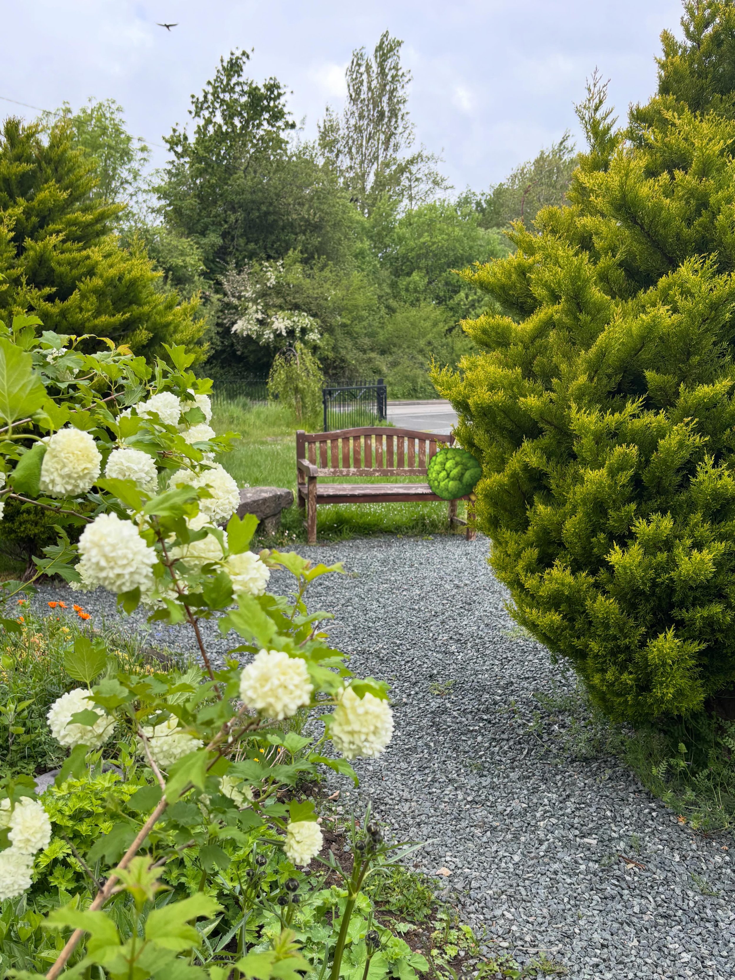 Our community garden in May! 
. . .
Ein gardd gymunedol ym mis Mai!
. . .
#llangoedhall #communitygarden #llangoed #villagehall