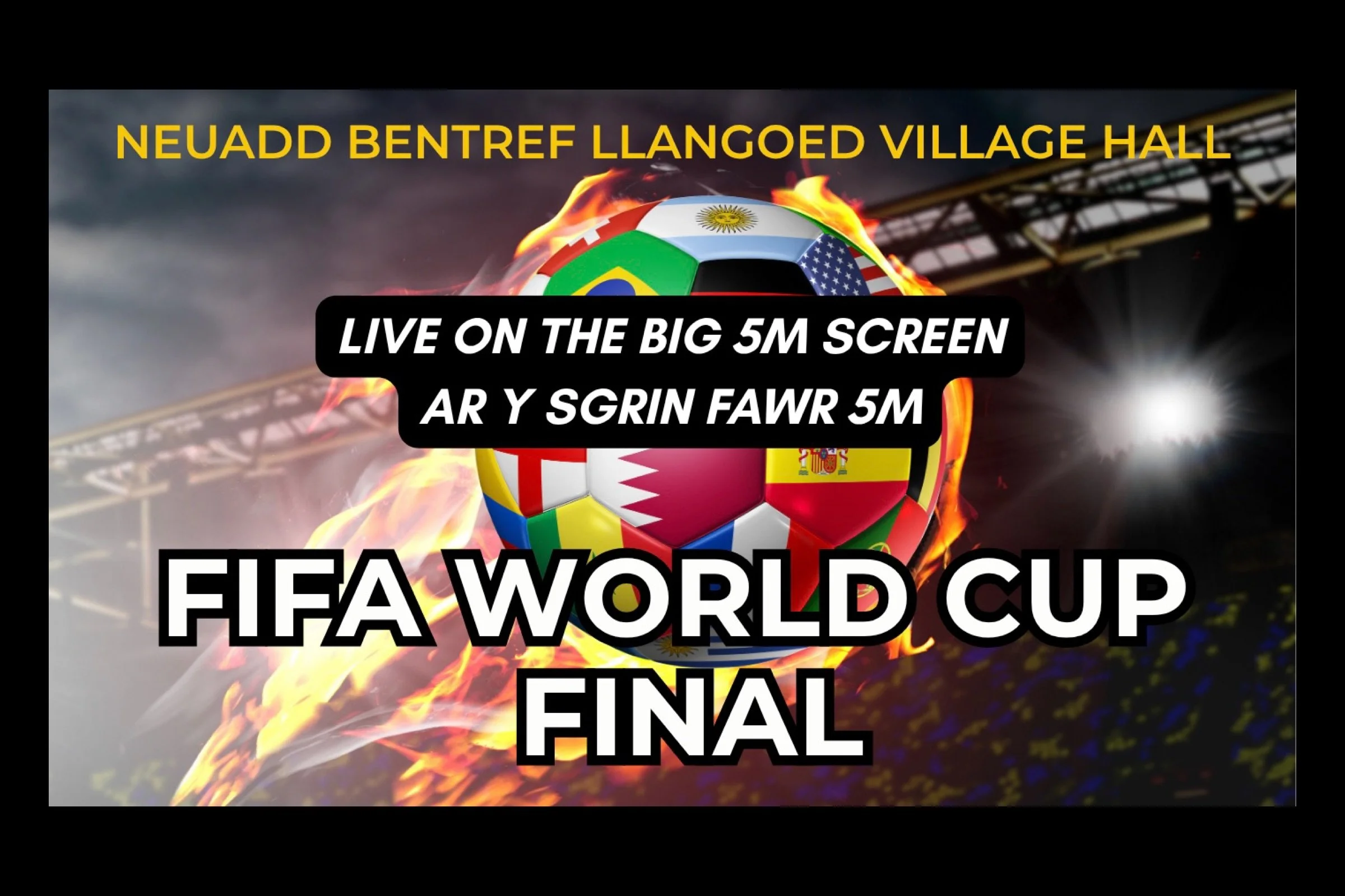 FIFA World Cup Final
