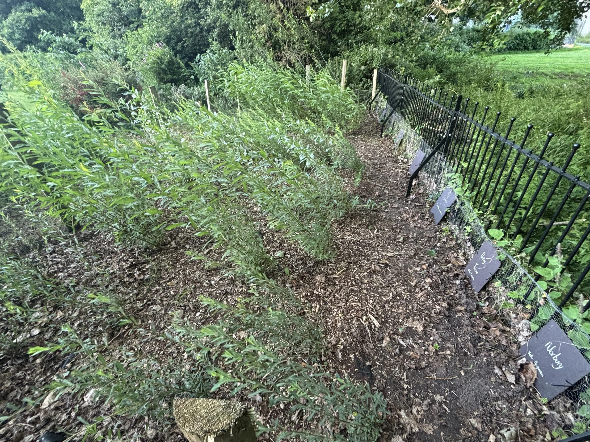 IMG_0308.jpeg