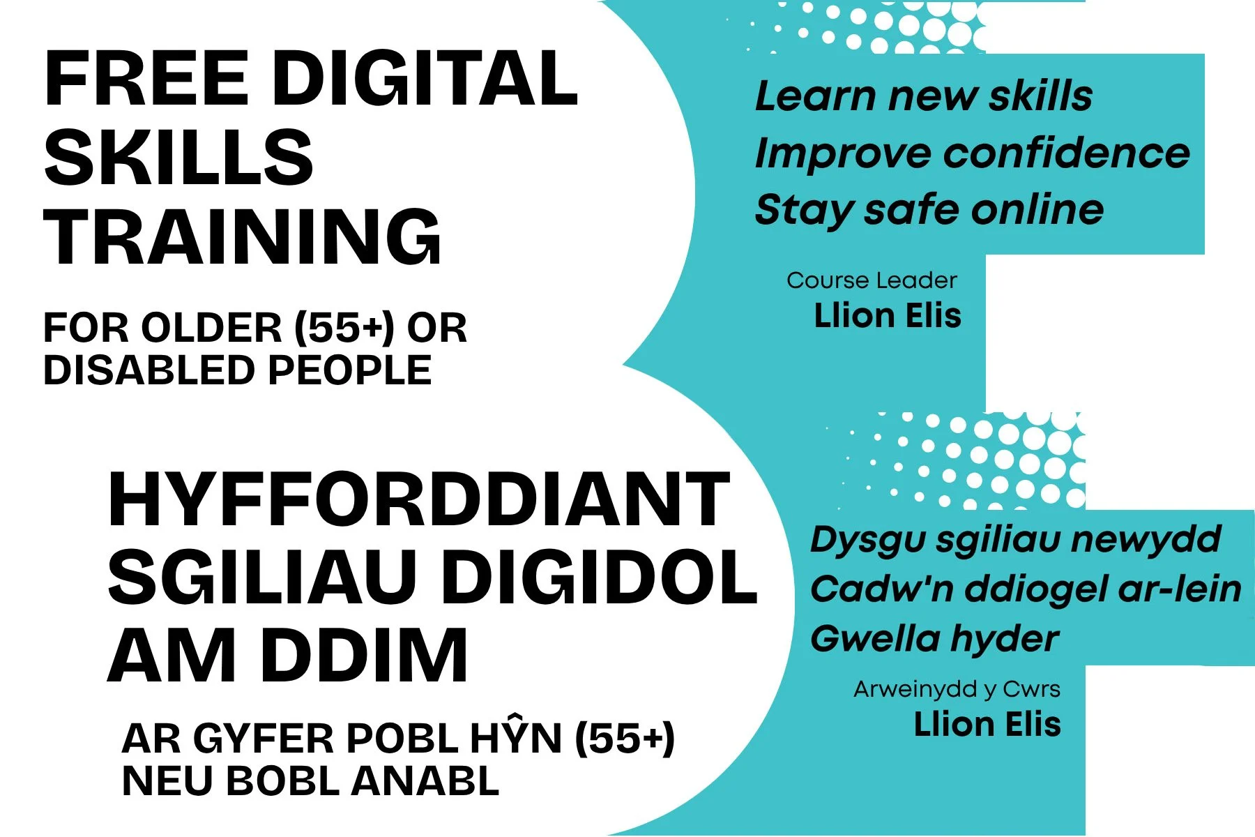 Digital Skills Training (English)