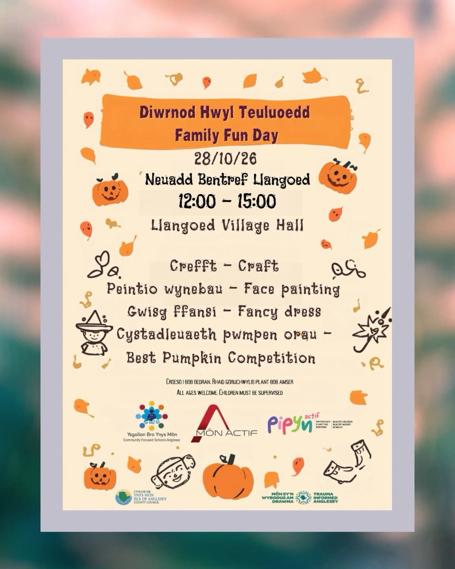 Halloween fun for the whole family! 🎃 Bring the children along to Llangoed Village Hall for a special Halloween Family Fun Day! An afternoon of crafts, face painting, fancy dress and a competition for the best carved pumpkin!

Wednesday 28 October |