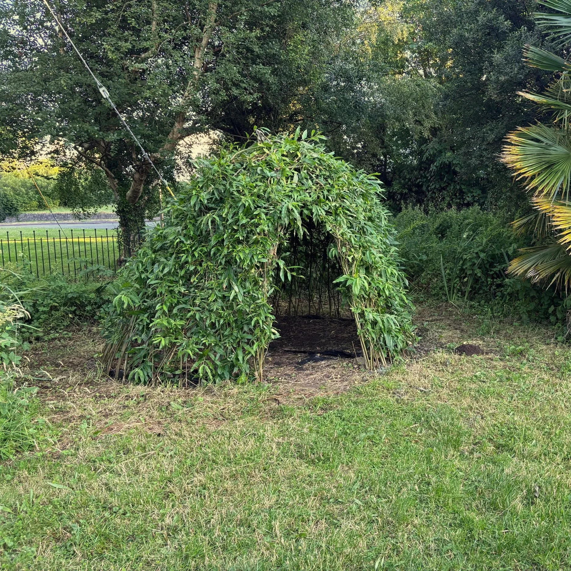 Community Willow Bed & Living Dome