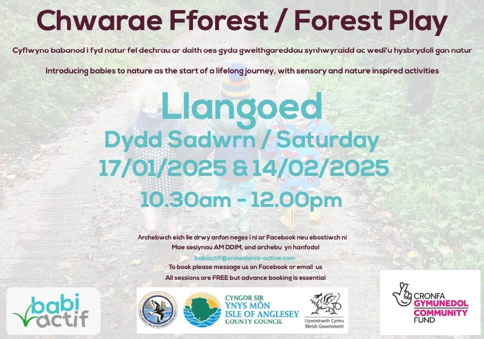 Chwarae Coedwig gydag Ysgol Goedwig Fern