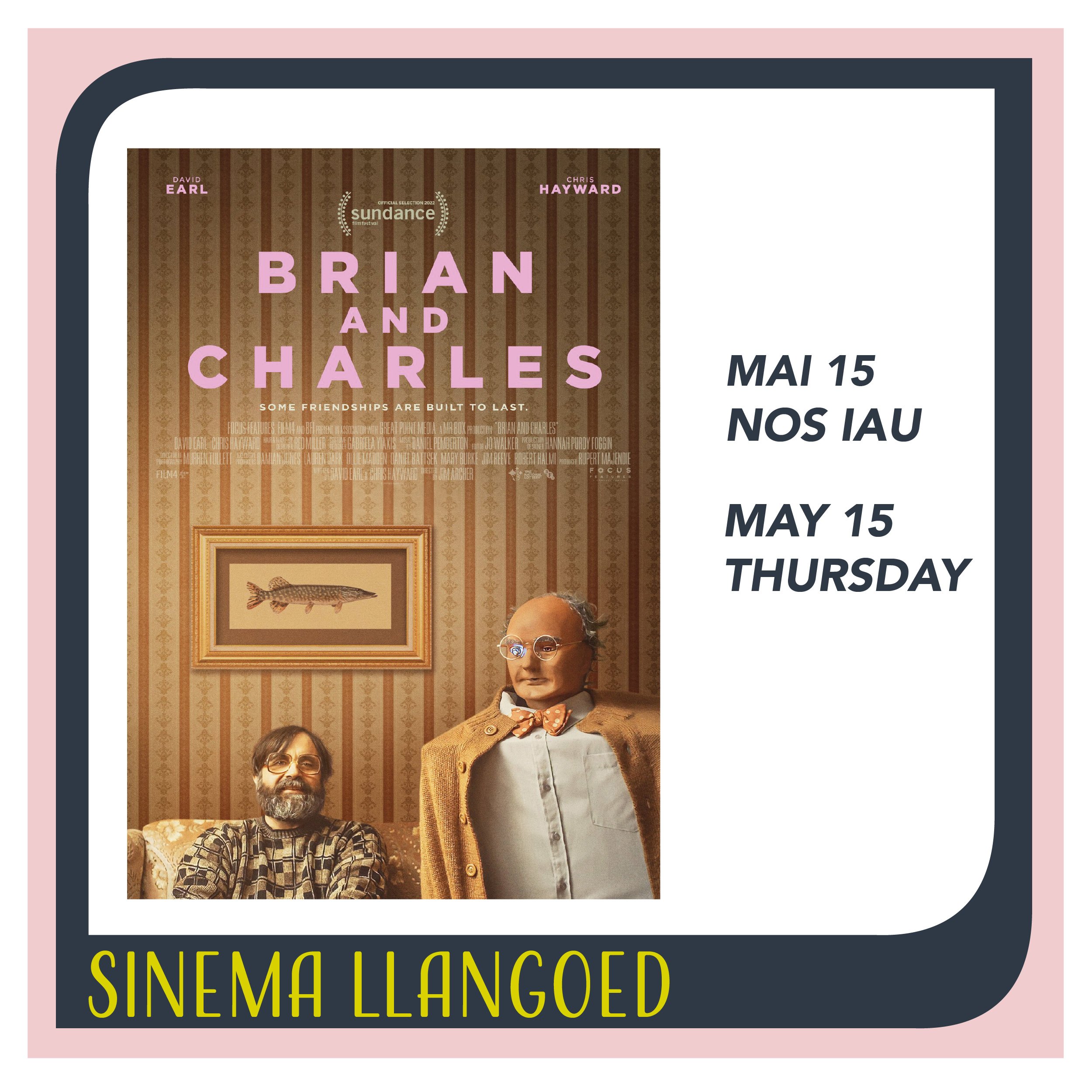 sinema_llangoed_square_briancharles.jpg