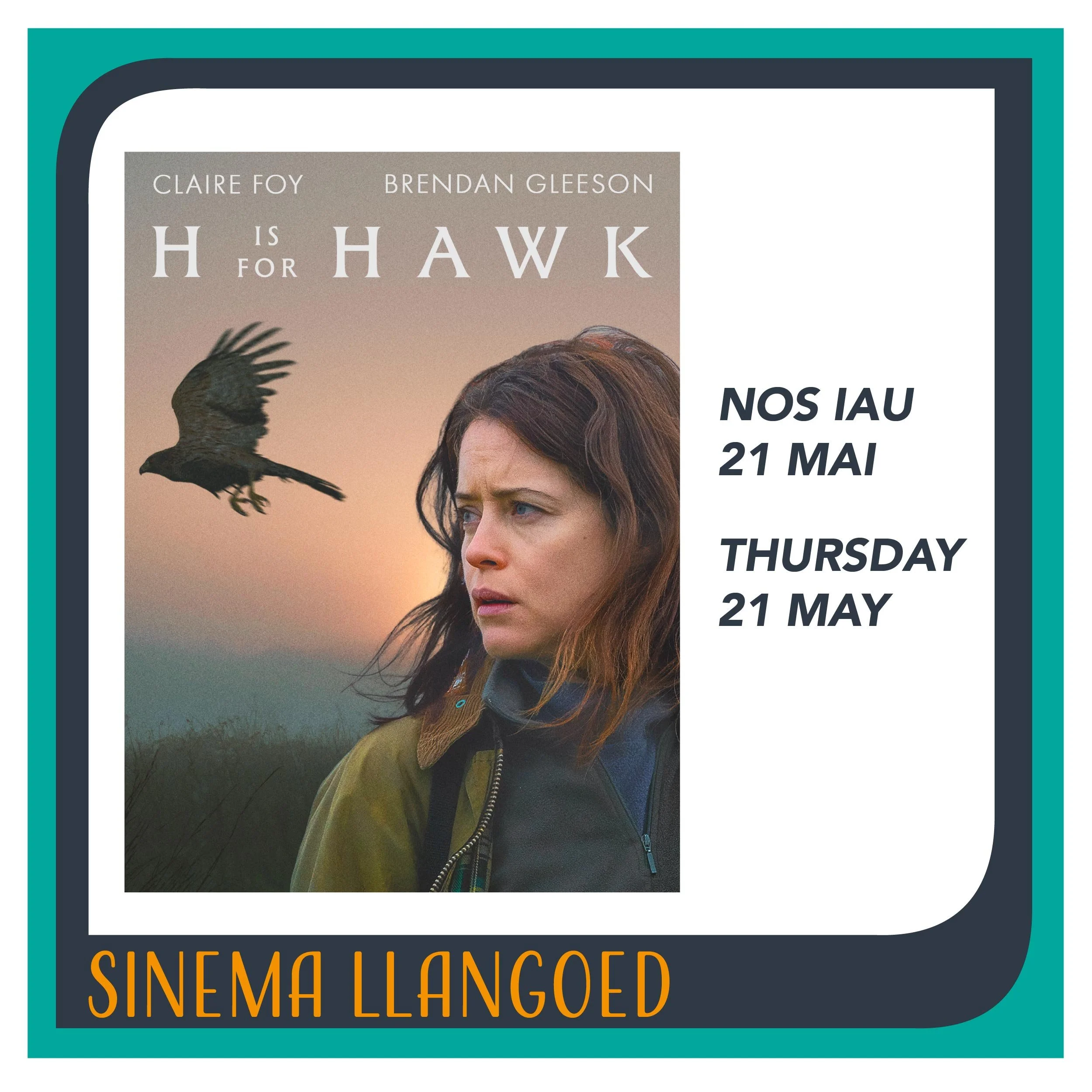 sinema_llangoed_square_hawk.jpg