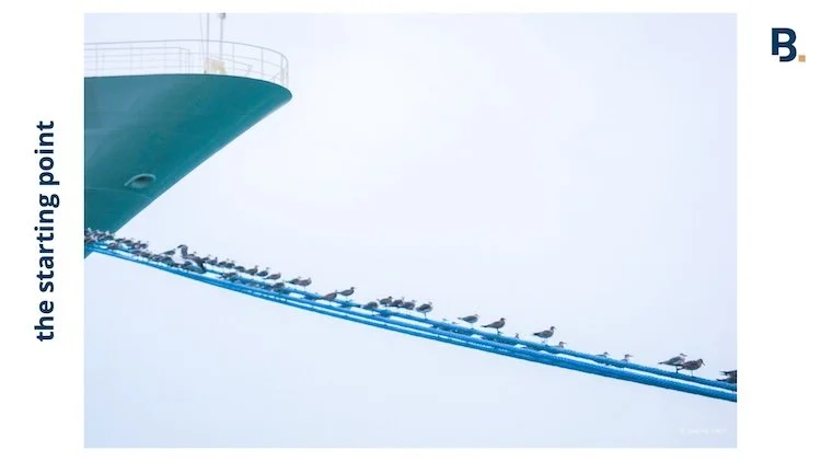 Seagulls sitting in a row on ropes that tether a ship hull to a pier. Key West, FL, USA