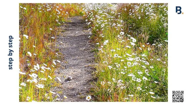 step by step on a footpath through a path of alpine daisies