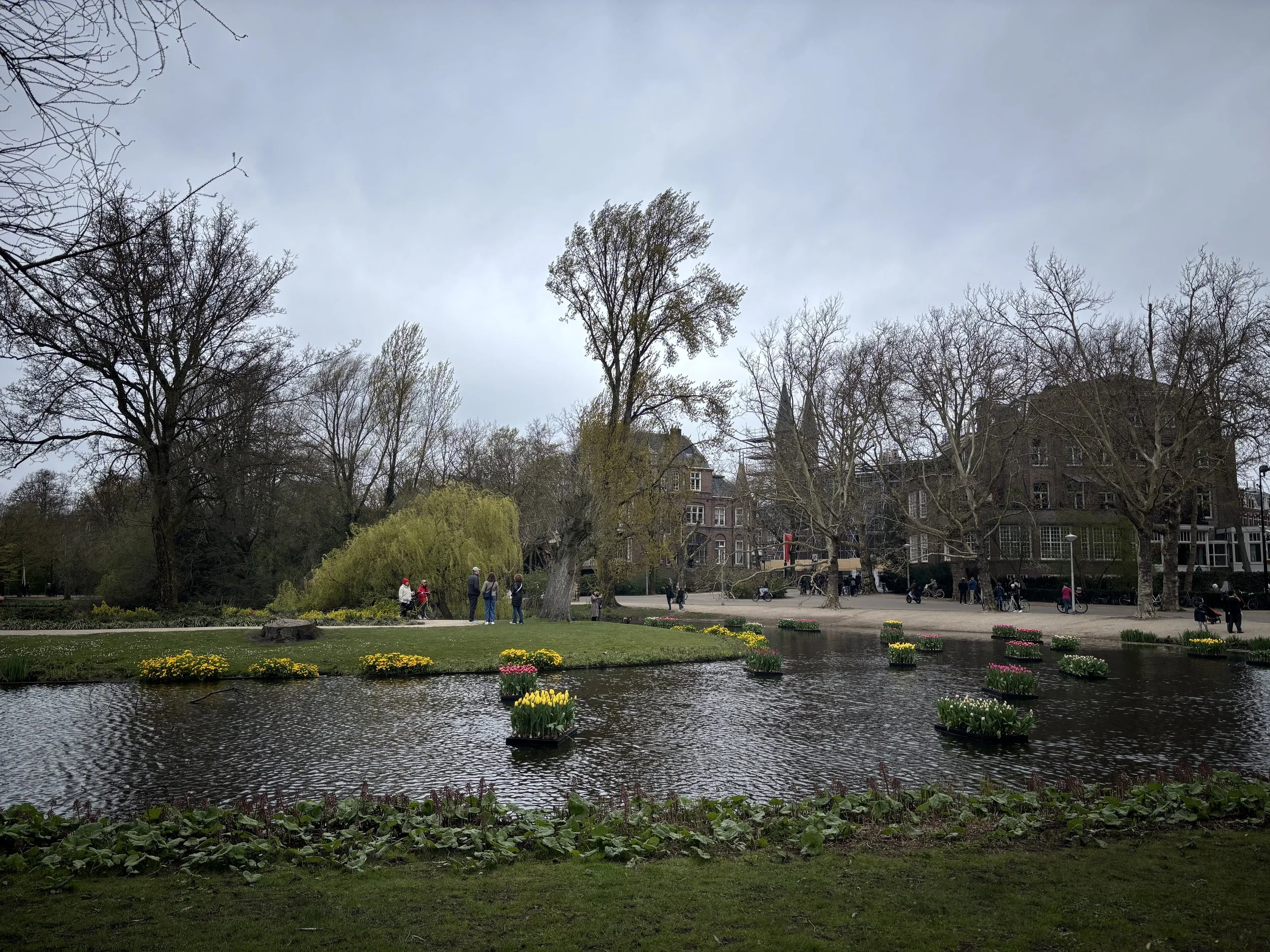 IMG_4960.jpeg