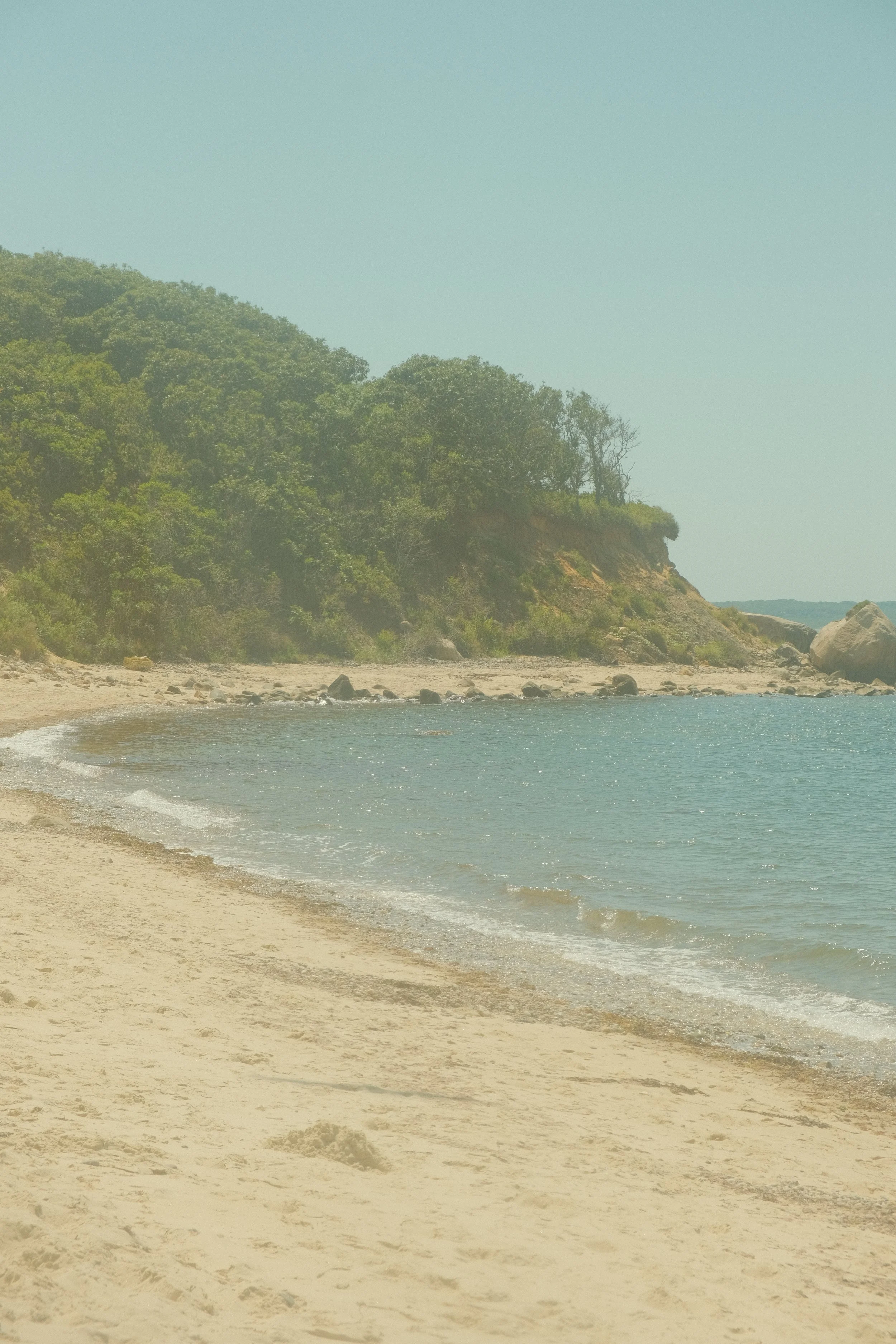 DSCF8800.jpg
