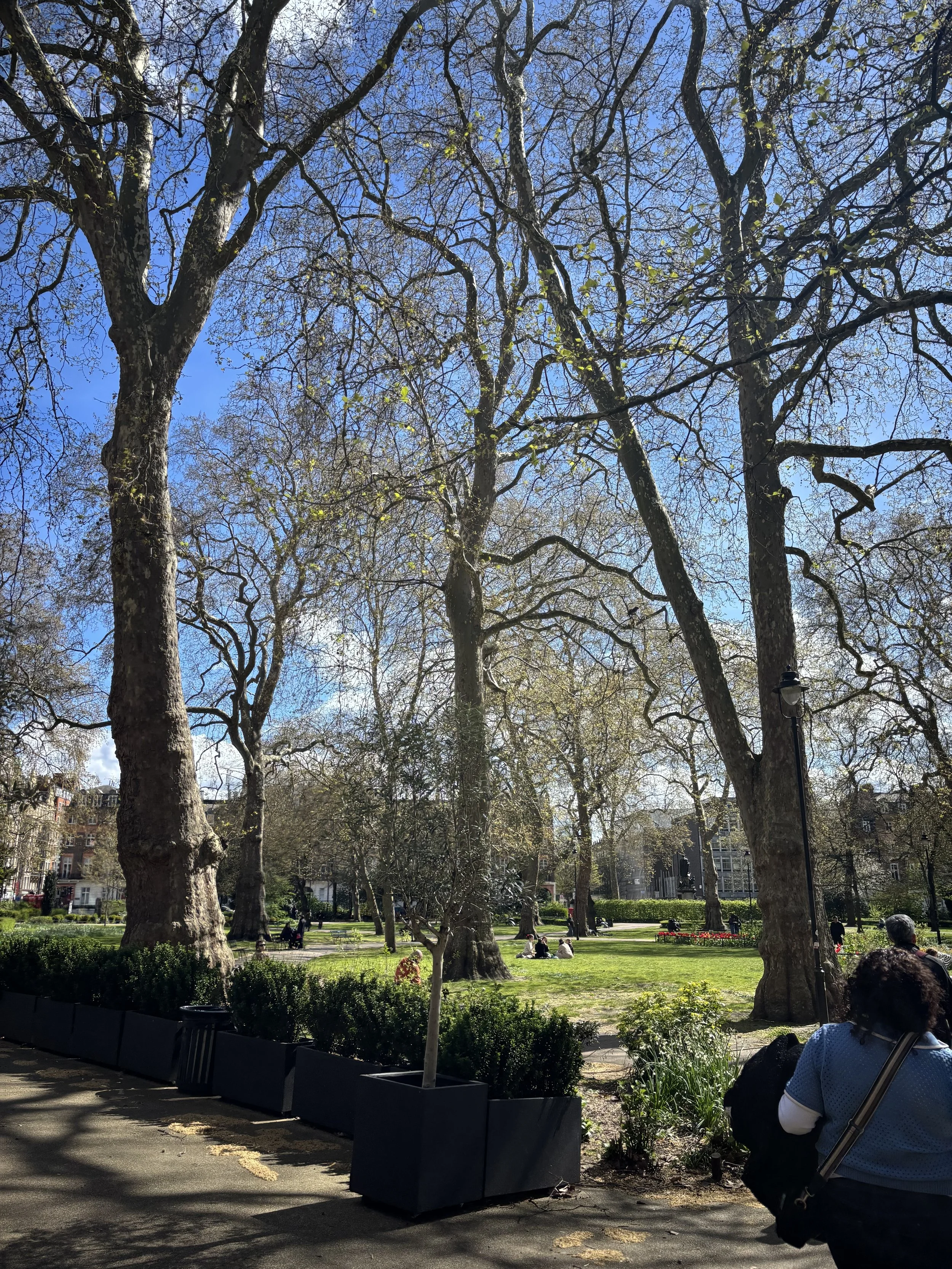 IMG_5124.jpeg