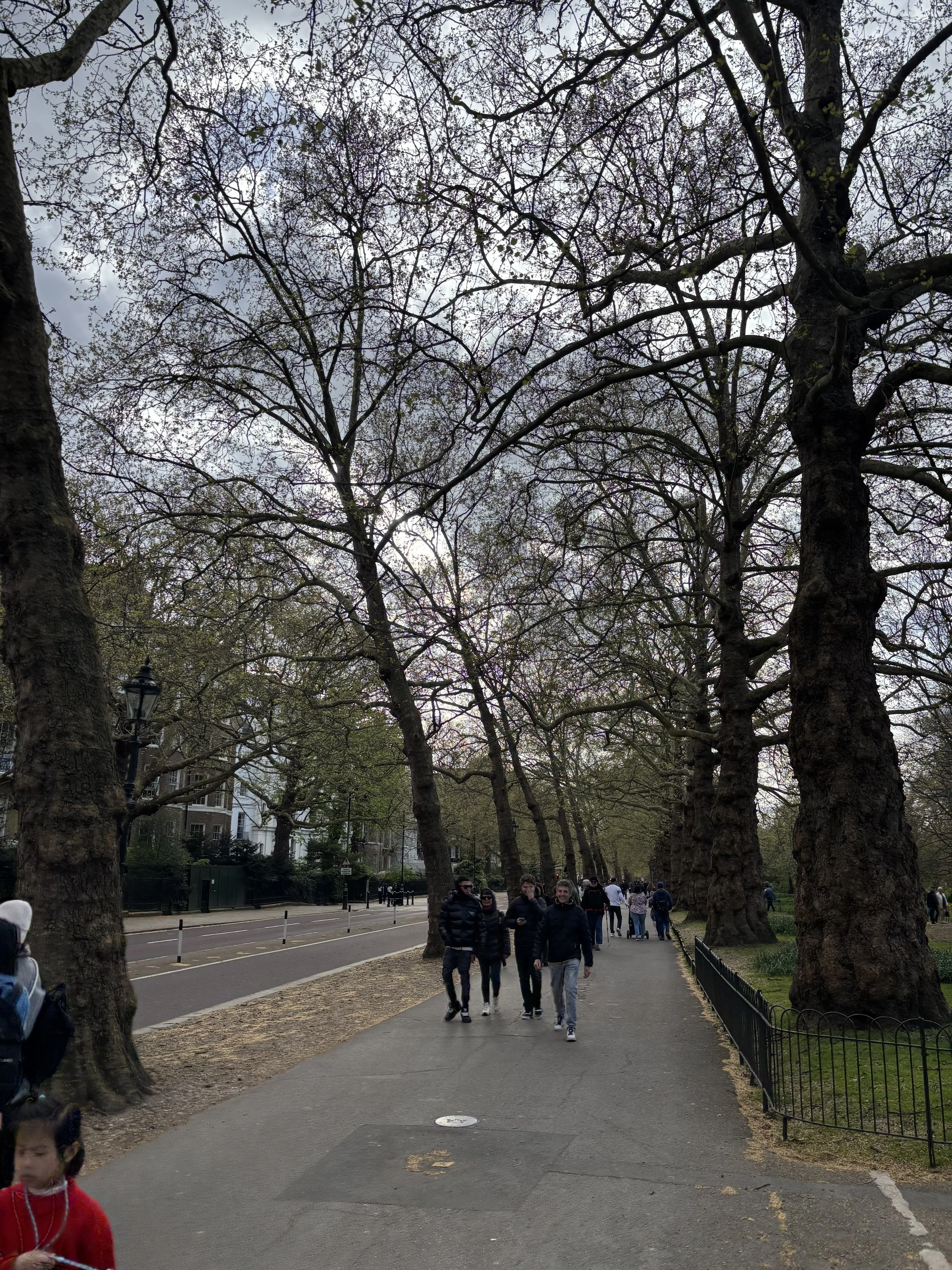 IMG_5180.jpeg